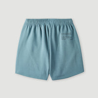 Future Surf High-Waist Sweatshorts | North Atlantic