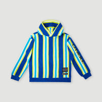 Brights Terry Hoodie | Blue Towel Stripe