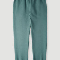 Future Surf Sweatpants | North Atlantic