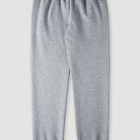 Future Surf Sweatpants | Silver Melee