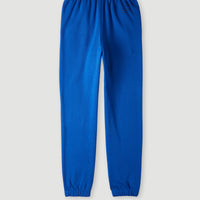 Future Surf Society Joggers | Surf the web Blue