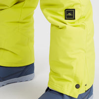 Hammer Snow Pants | Luca Lime