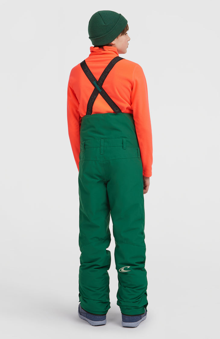 FWC'Cruz Bib Snow Pants | Emerald Envy Colour Block