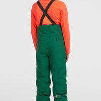 FWC'Cruz Bib Snow Pants | Emerald Envy Colour Block