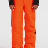 FWC'Cruz Snow Pants | Tokyo Lights