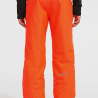 FWC'Cruz Snow Pants | Tokyo Lights