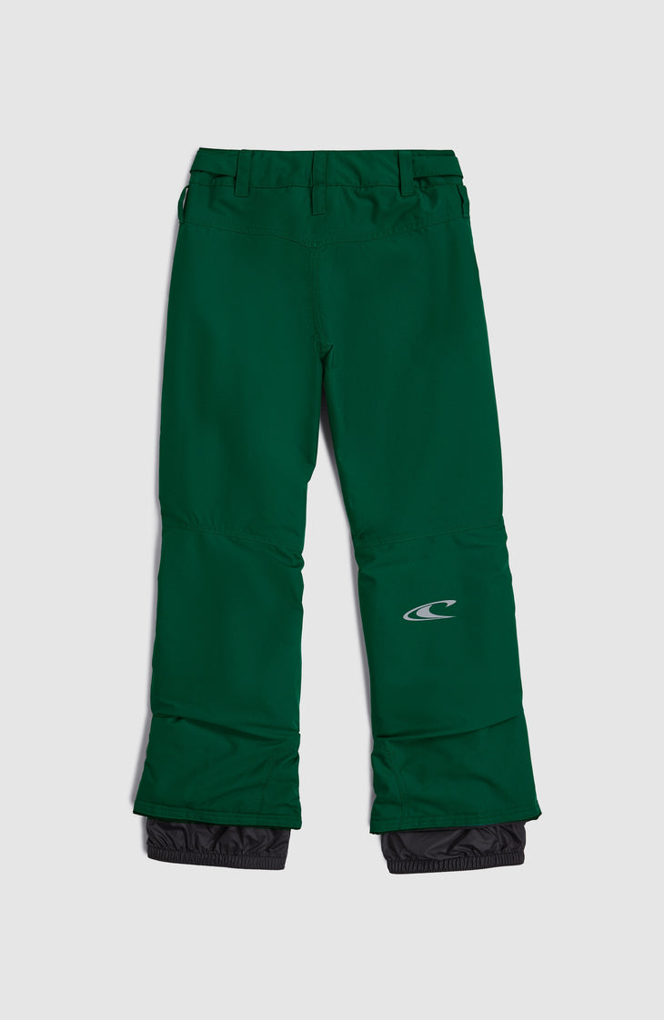 FWC'Cruz Snow Pants | Emerald Envy