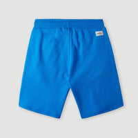 Surf State Sweatshorts | Princess Blue