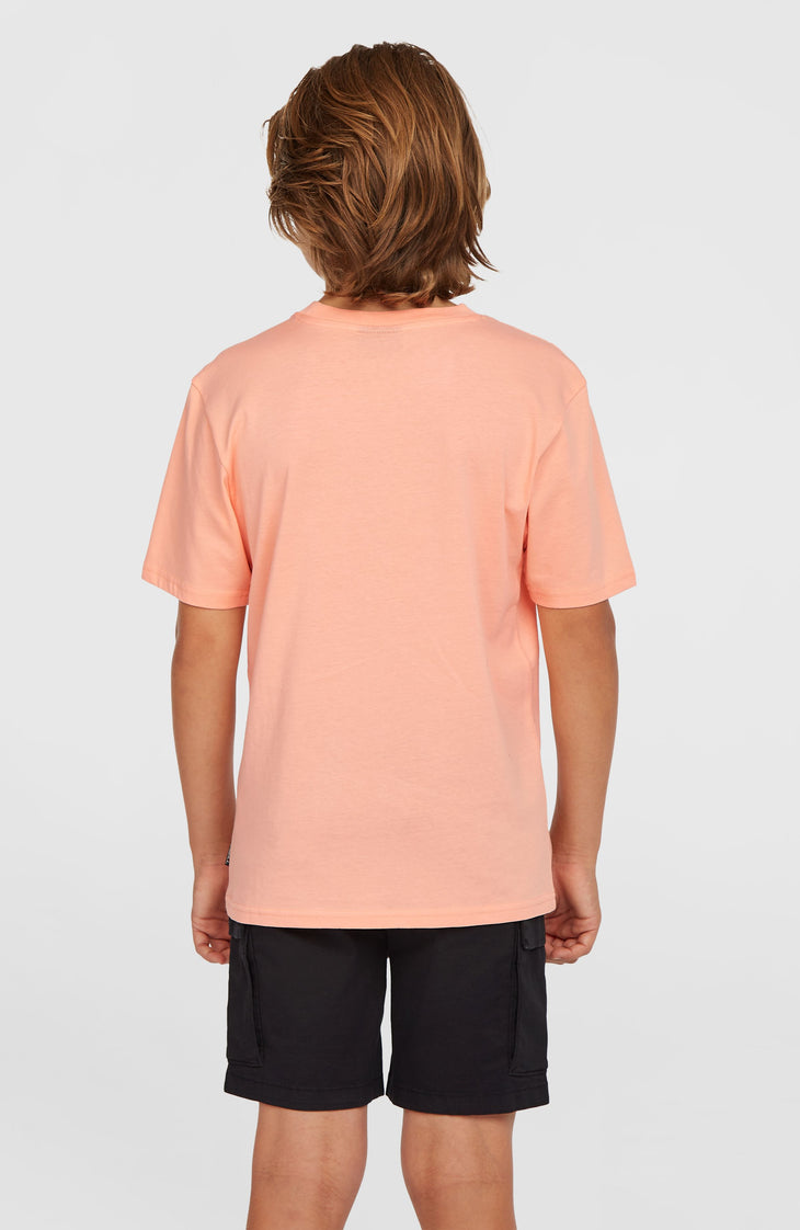 Cargo Shorts | Black Out