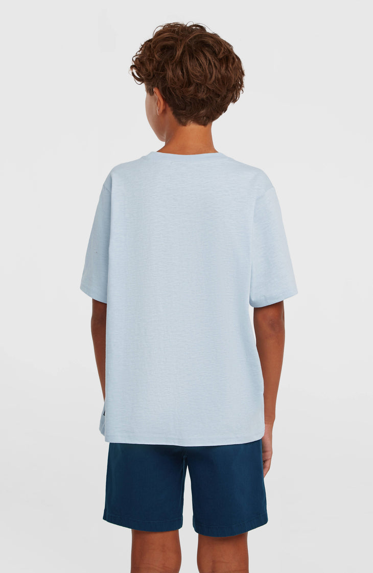 Chino Shorts | English Evening