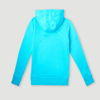 Circle Surfer Hoodie | Bachelor Button