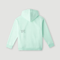 Future Surf Hoodie | Beach Glass