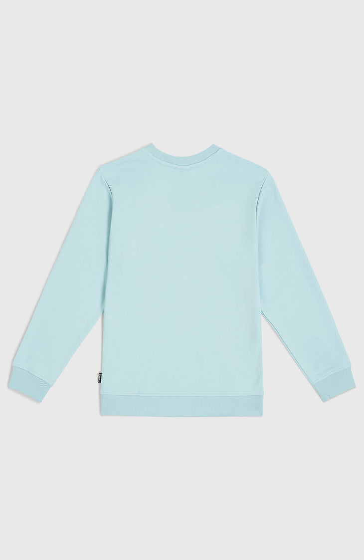 Logo Crew Sweatshirt | Morning Glory