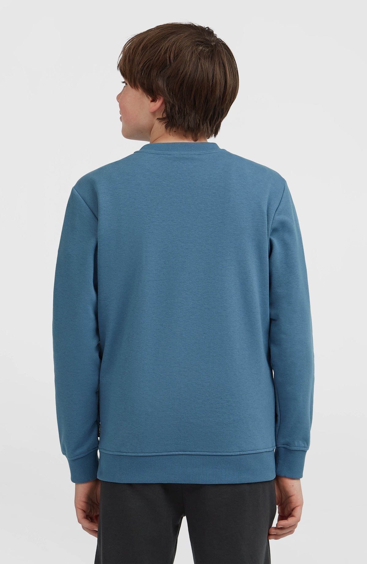 Essentials Crew Sweatshirt | Mozart Blue