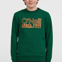 Essentials Crew Sweatshirt | Emerald Envy