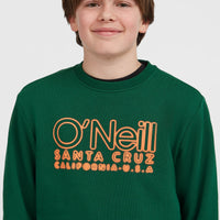 Essentials Crew Sweatshirt | Emerald Envy