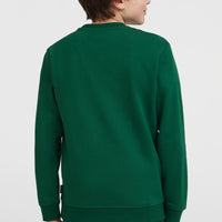 Essentials Crew Sweatshirt | Emerald Envy