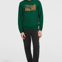 Essentials Crew Sweatshirt | Emerald Envy