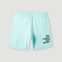 Future Surf Society 14'' Swim Shorts | Beach Glass