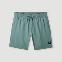 Future Surf Society 14'' Swim Shorts | North Atlantic