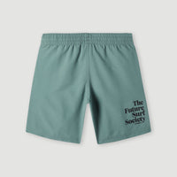 Future Surf Society 14'' Swim Shorts | North Atlantic