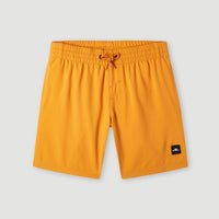 Future Surf Society 14'' Swim Shorts | Nugget