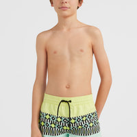 Cali Block 13'' Swim Shorts | Beach Glass Colour Block