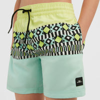 Cali Block 13'' Swim Shorts | Beach Glass Colour Block