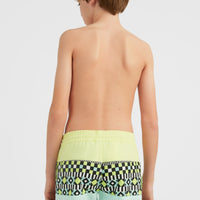 Cali Block 13'' Swim Shorts | Beach Glass Colour Block