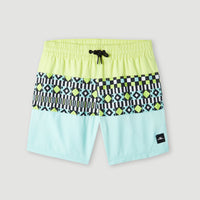 Cali Block 13'' Swim Shorts | Beach Glass Colour Block