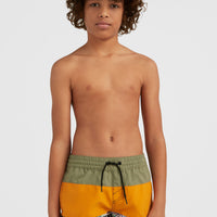 Cali Block 13'' Swim Shorts | Nugget Colour Block