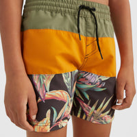 Cali Block 13'' Swim Shorts | Nugget Colour Block