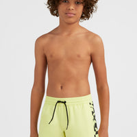 Cali Panel 14'' Swim Shorts | Sunny Lime Colour Block