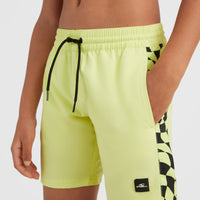 Cali Panel 14'' Swim Shorts | Sunny Lime Colour Block