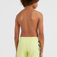 Cali Panel 14'' Swim Shorts | Sunny Lime Colour Block