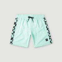 Cali Panel 14'' Swim Shorts | Beach Glass Colour Block