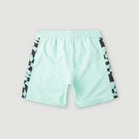 Cali Panel 14'' Swim Shorts | Beach Glass Colour Block