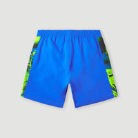 Cali Panel 14'' Swim Shorts | Princess Blue Colour Block