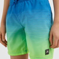 Cali Gradient 14'' Swim Shorts | Dark Blue Simple Gradient