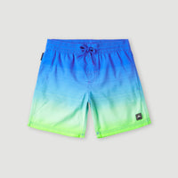 Cali Gradient 14'' Swim Shorts | Dark Blue Simple Gradient