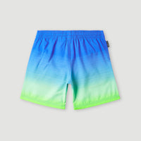 Cali Gradient 14'' Swim Shorts | Dark Blue Simple Gradient