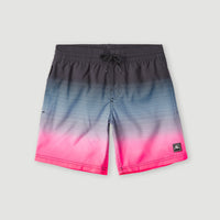 Cali Gradient 14'' Swim Shorts | Black Simple Gradient