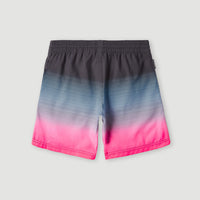 Cali Gradient 14'' Swim Shorts | Black Simple Gradient