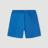 Cali State 14'' Swim Shorts | Princess Blue