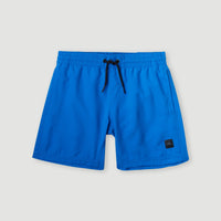 Cali Hybrid 13'' Swim Shorts | Princess Blue