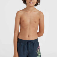 Circle Surfer 14'' Swim Shorts | Outer Space Circle Surfer Grandient Panel