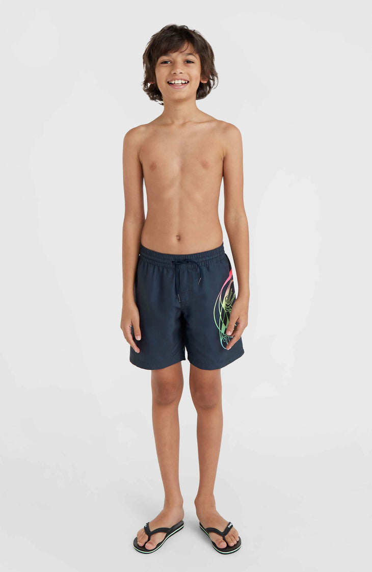Circle Surfer 14'' Swim Shorts | Outer Space Circle Surfer Grandient Panel