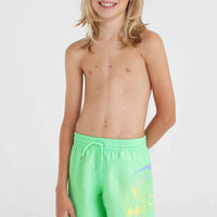 Circle Surfer 14'' Swim Shorts | Neon Green Circle Surfer Gradient Panel