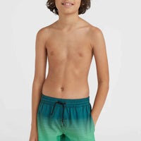 Jack O'Neill Cali Gradient 14'' Swim Shorts | Beetle Juice Simple Gradient Panel