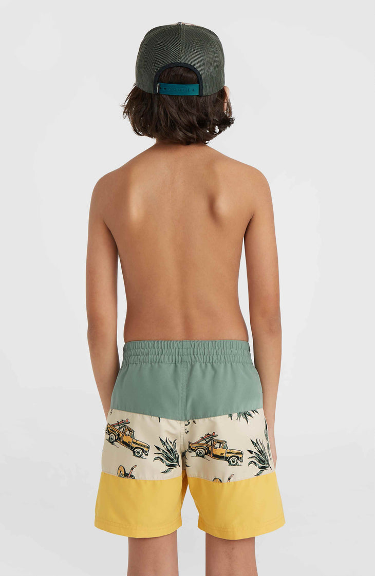Mix and Match Cali Block 13'' Swim Shorts | Beige Venice Beach